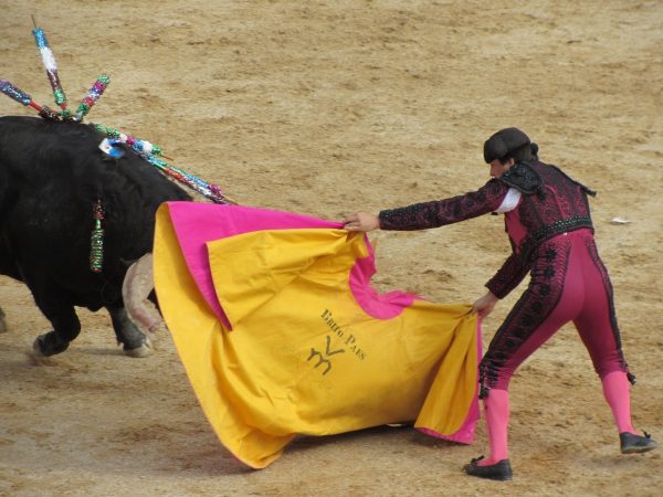 bullfighting