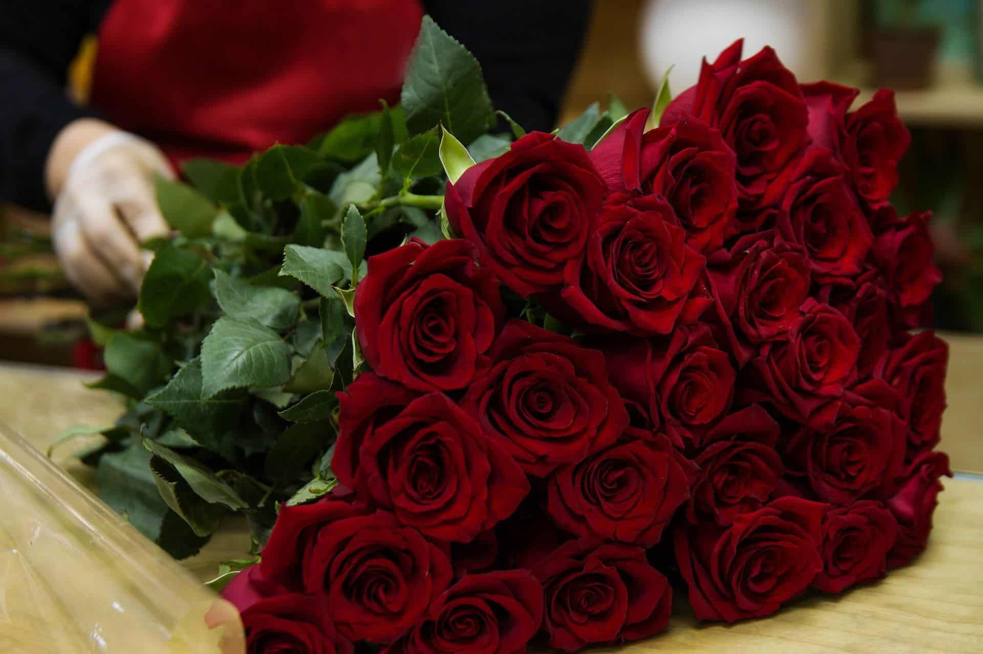 Many Flowers