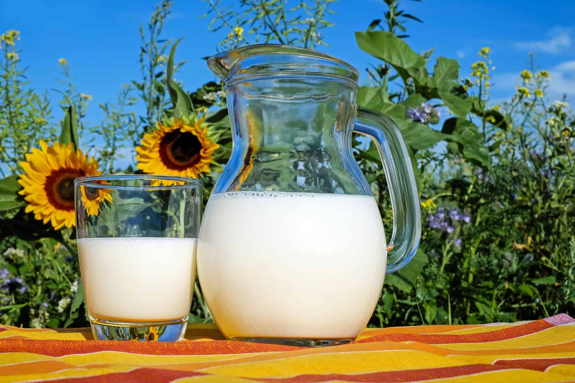 Ser la leche