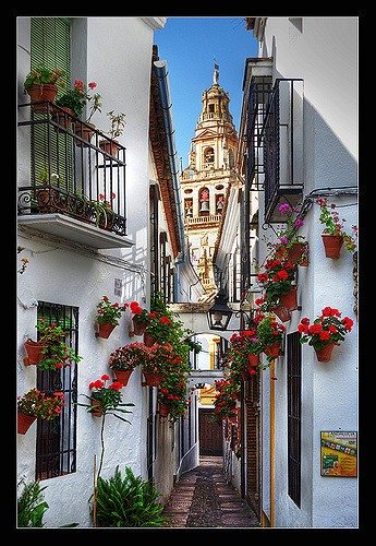 cordoba