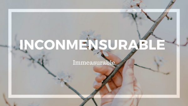 INCONMENSURABLE