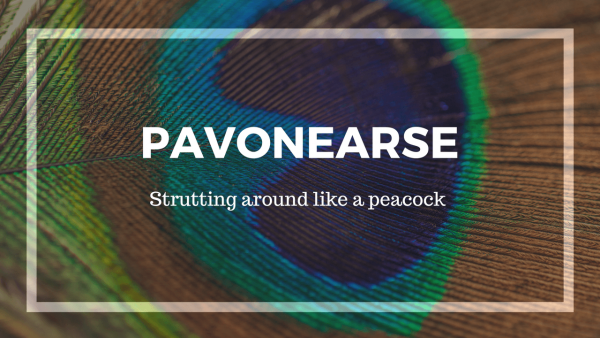 PAVONEARSE