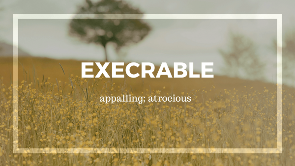 EXECRABLE