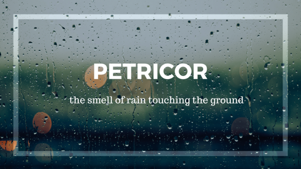 PETRICOR